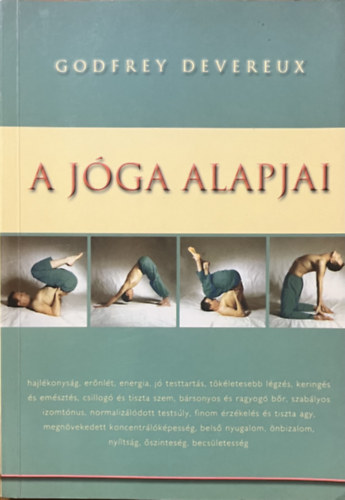 Godfrey Devereux - A jga alapjai