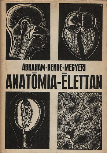 �brah�m-Bende-Megyeri - Anat�mia - �lettan (Negyedik kiad�s)