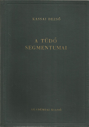 Kassay Dezső - A tüdő segmentumai