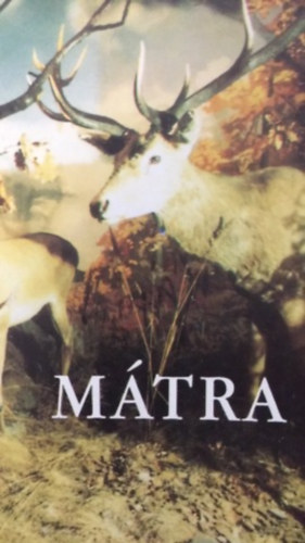 Kov�csn� F�ldessy Mariann - M�tra - ismertet� a gy�ngy�si M�TRA M�ZEUM term�szettudom�nyi ki�ll�t�s�hoz