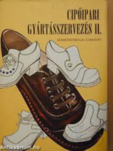 Cipipari gyrtsszervezs II.