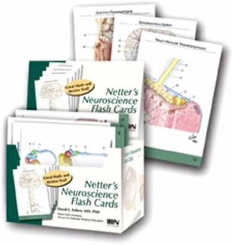 David L. Felten - Netter's Neuroscience Flash Cards