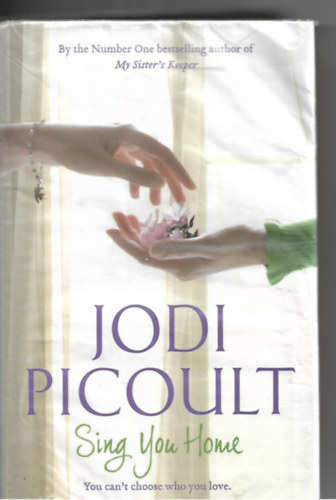 Jodi Picoult - Sing you Home