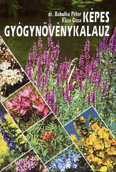 Dr. Babulka Pter-Ksa Gza - Kpes gygynvnykalauz