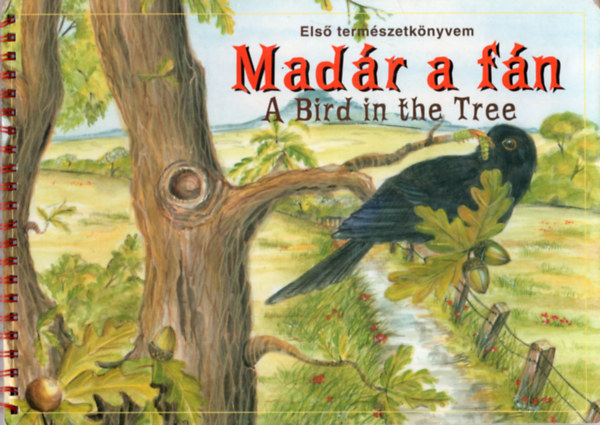 Mad�r a f�n - A Bird in the Tree