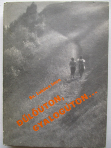 Sz. Lukcs Imre - Dlton, gyalogton...