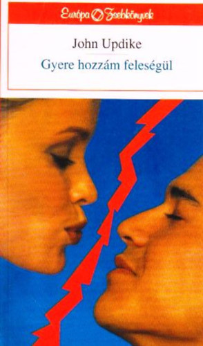 John Updike - Gyere hozzm felesgl