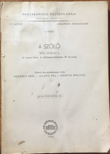 Heged�s �bel; Kozma P�l; N�meth M�rton - A sz�l� - Magyarorsz�g kult�rfl�r�ja IV. k�tet, 1. f�zet