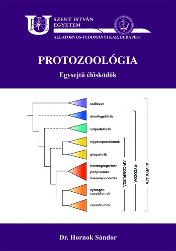 Protozoolgia - egysejt lskdk
