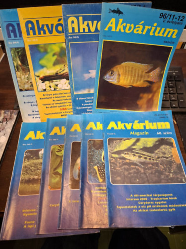 Akv�rium magazin (10 db) - sz�rv�nysz�mok: V. �vfolyam 96/11-12., VI. �vfolyam 97/3-4., 97/7-8., VII. �vfolyam: 98/7-8., IX. �vfolyam: 2000/4. 60. sz�m, 2000/6 62. sz�m, X. �vfolyam: 2001/1. 63. sz�m, 2001/5. 67. sz�m, 2001/3. 65. sz�m,