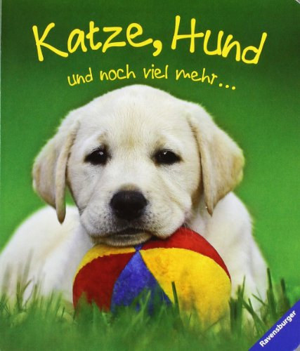 Katze, Hund und noch viel mehr...