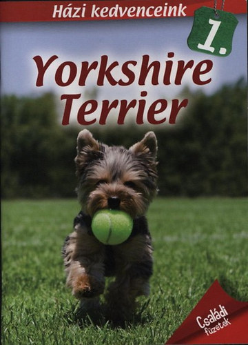 Hzi kedvenceink 1. - Yorkshire Terrier