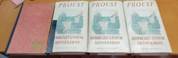 Marcel Proust - Az eltnt id nyomban II. - Bimboz lnyok rnykban