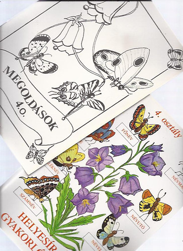 Eszterg�lyos Jen�  (szerk.) - Helyes�r�si gyakorl�f�zet  4. oszt�ly + Megold�sok f�zet