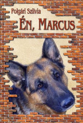Polgri Szilvia - n, Marcus