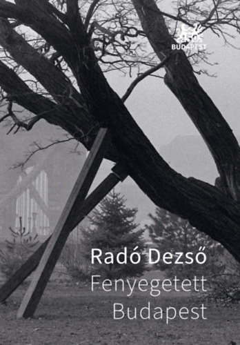 Radó Dezső - Fenyegetett Budapest