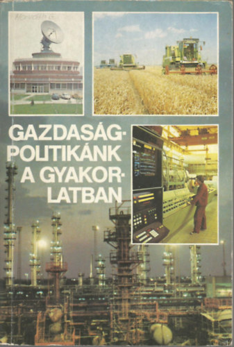 Laczó Ferenc (szerk.) - Gazdaságpolitikánk a gyakorlatban