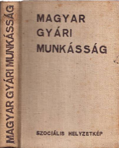 Rzler Gyula  (szerk.) - Magyar gyri munkssg - Szocilis helyzetkp