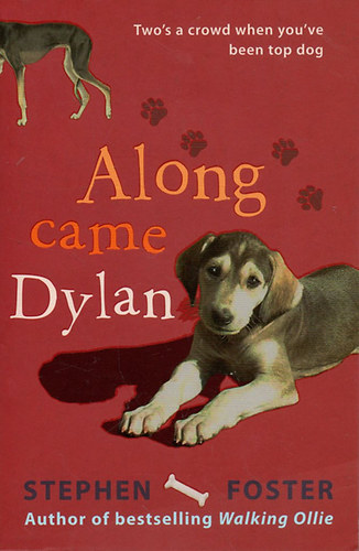 Stephen Foster - Along came Dylan