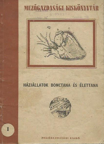 Balla Istvn - Hzillatok bonctana s lettana