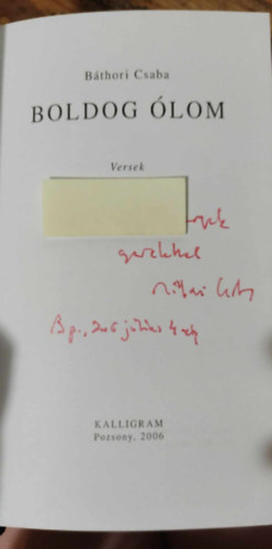 B�thori Csaba - Boldog �lom