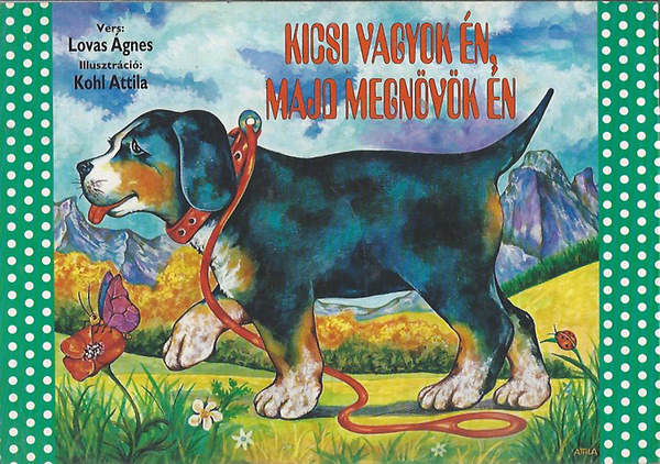 Lovas gnes; Kohl Attila  (illusztrci) - Kicsi vagyok n, majd megnvk n