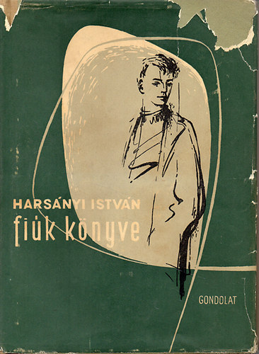 Harsányi István - Fiúk könyve