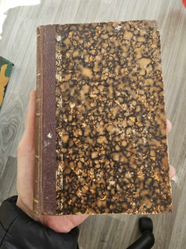 Tolnai Lajos - A nyomorék - Rajzok a falusi életből