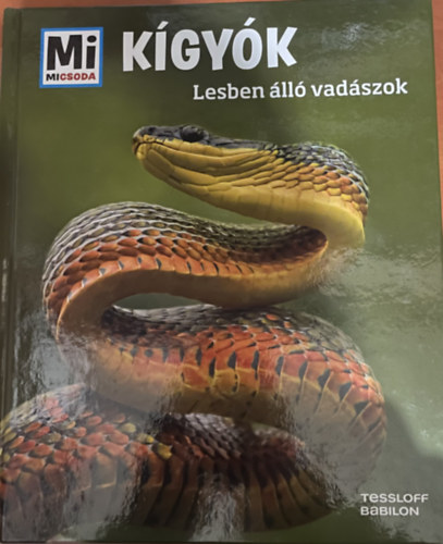 Nicolai Schirawski - K�gy�k - Lesben �ll� vad�szok (Mi micsoda)