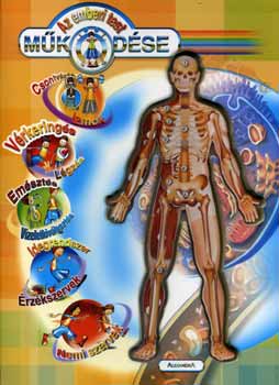 Steve Parker - Az emberi test mkdse