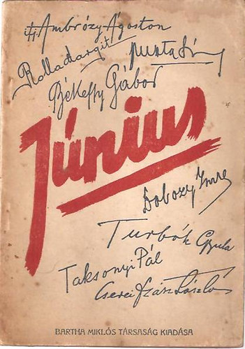 Ambr�zy-B�keffy-Dobozy-Puszta-Rolla-Sz�sz-Taksonyi - J�nius