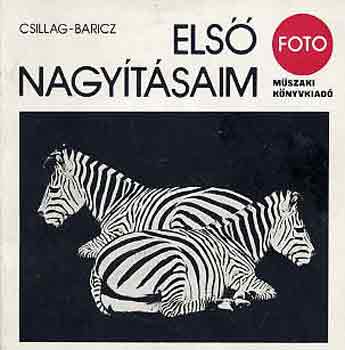 CSillag- Baricz - Els nagytsaim