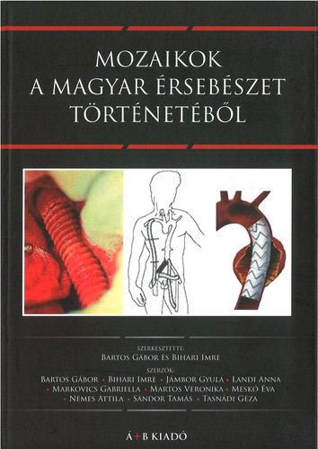 Dr. Bihari Imre Bartos G�bor - Mozaikok a magyar �rseb�szet t�rt�net�b�l