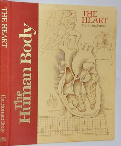 Bruce Marshall - The Heart: The Living Pump - Human Body Series (A szv - Emberi test sorozat, angol nyelven)