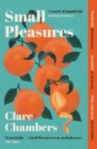 Clare Chambers - Small Pleasures - Longlisted for the Women's Prize for Fiction 2021