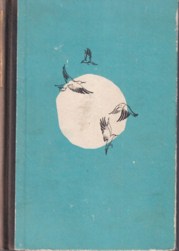 Nmeth Imre - A Bibor-tenger partjn