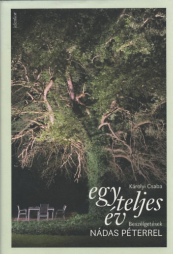 Károlyi Csaba - Egy teljes év
