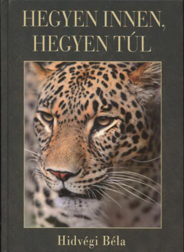 Hidvgi Bla - Hegyen innen, hegyen tl