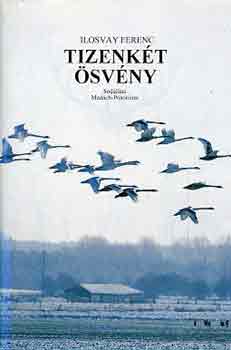 Ilosvay Ferenc - Tizenkét ösvény