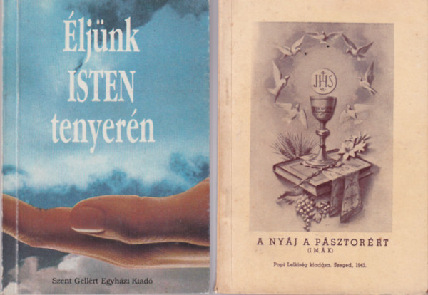 Johannes Rosche Hollai Ferenc - 3 db vallsi knyv: A nyj a psztorrt ( imk ) + A Katolikus Munksifj Mozgalmak Nemzetkzi Szvetsgnek kiadsban 1993 + ljnk Isten tenyern