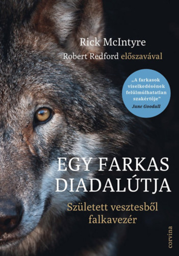 Rick McIntyre - Egy farkas diadal�tja - Sz�letett vesztesb�l falkavez�r