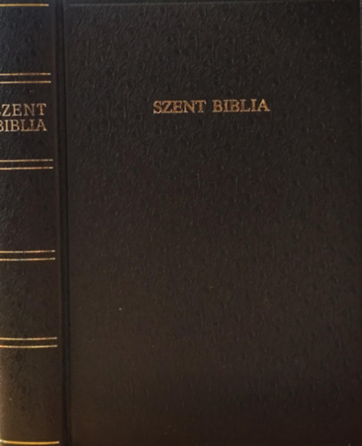 Szent Biblia azaz: Istennek � �s �j testamentom�ban foglaltatott eg�sz Szent �r�s