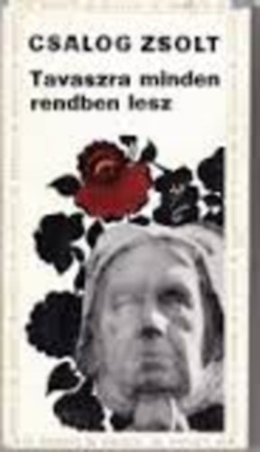 Csalog Zsolt - Tavaszra minden rendben lesz