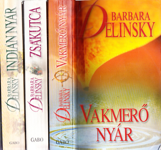 Barbara Delinsky - Barbara Delinsky k�nyvek (3db.): Vakmer� ny�r + Zs�kutca + Indi�n ny�r