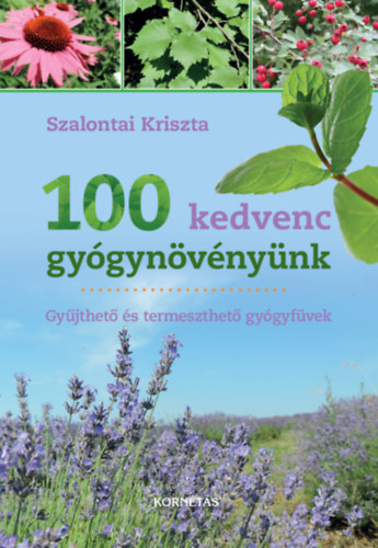 Szalontai Kriszta - 100 kedvenc gygynvnynk