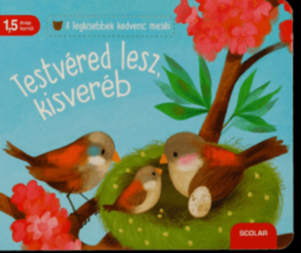 Katja Reider - Testvéred lesz, kisveréb