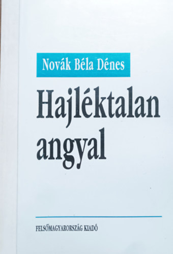Novák Béla Dénes - Hajléktalan angyal