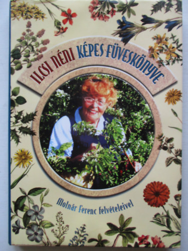 Molnr Dnieln - Ilcsi nni kpes fvesknyve