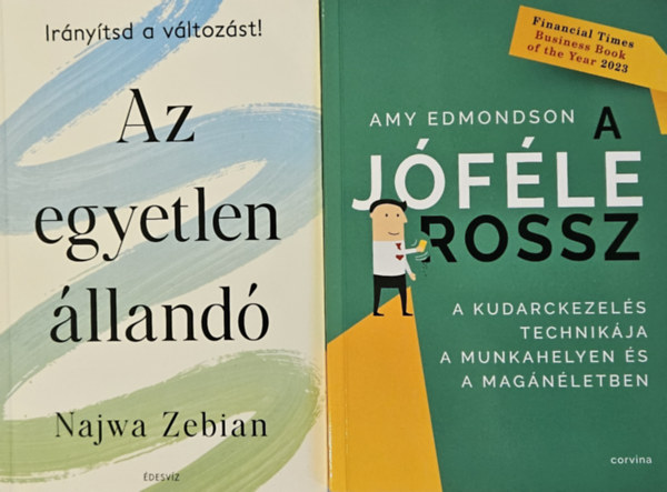 Najwa Zebian Amy Edmondson - A jfle rossz - A kudarckezels technikja a munkahelyen s a magnletben + Az egyetlen lland - Irnytsd a vltozst! (2 m)