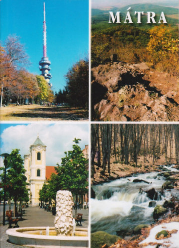 Berki-Fehr-Fubola-Ldi-Tth - Mtra tiknyv